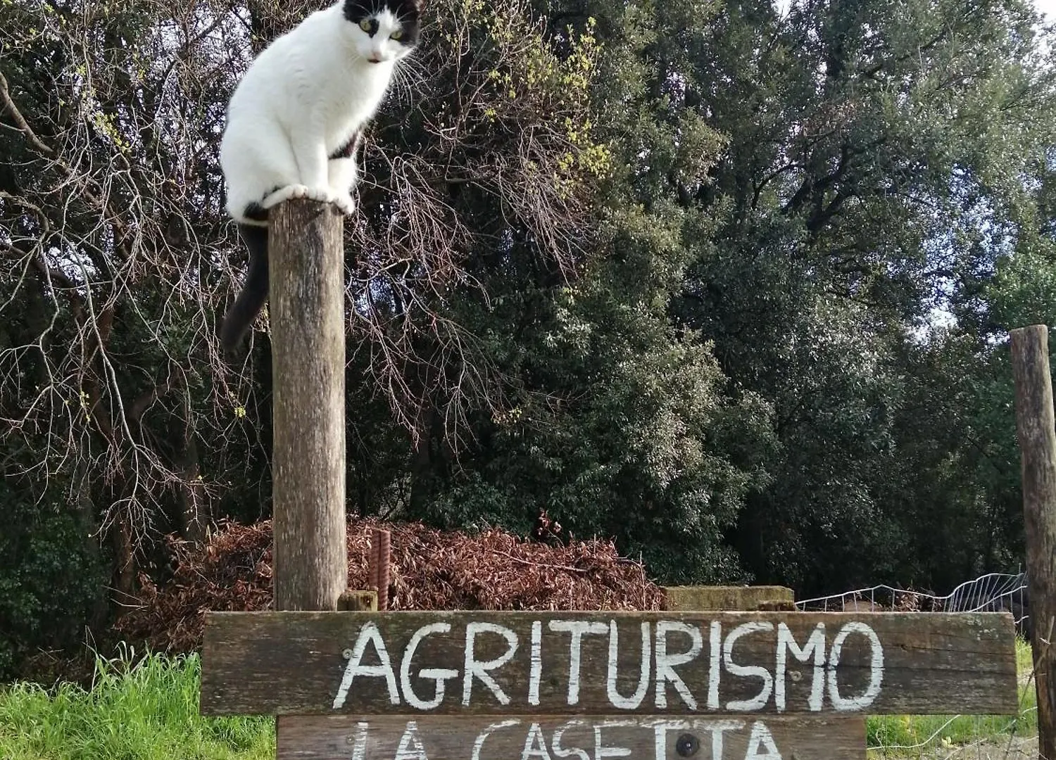La Casetta Nel Bosco Manciano 0*,  Italy